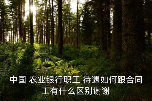 民丰农业银行待遇怎么样,无锡民丰农业银行属于哪个支行