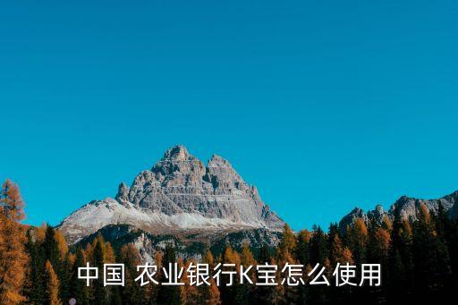 中国 农业银行K宝怎么使用