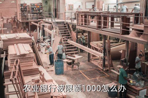 支付宝农业限制怎么办