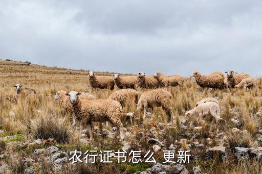 农业银行网上银行怎么更新