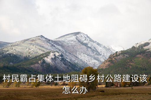 农业合作社被占怎么赔偿