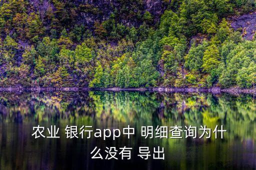  农业 银行app中 明细查询为什么没有 导出