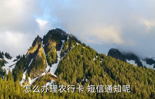 怎么办理农行卡 短信通知呢
