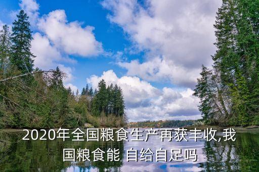 农业自给自足率怎么算