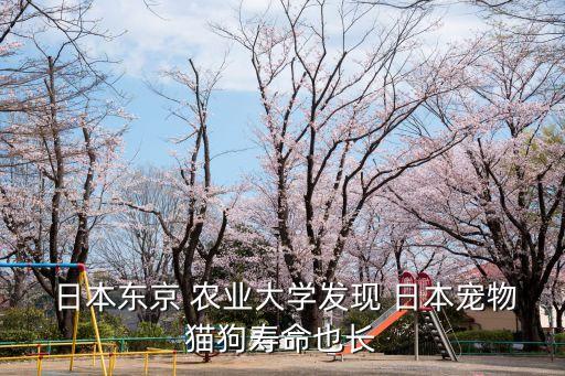 日本农业大学的价格怎么样,俄罗斯国立农业大学怎么样