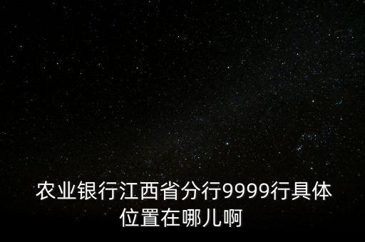  农业银行江西省分行9999行具体位置在哪儿啊