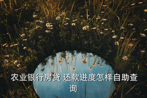  农业银行房贷 还款进度怎样自助查询