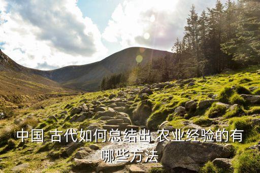 古代农业生产效率怎么提高,在农业生产上为了提高光合作用的效率应该