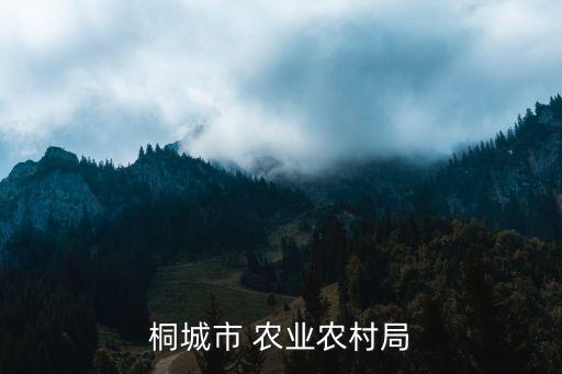 怎么查农业信息化局