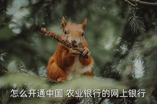 农业个人网银怎么安装,农业银行卡个人网银