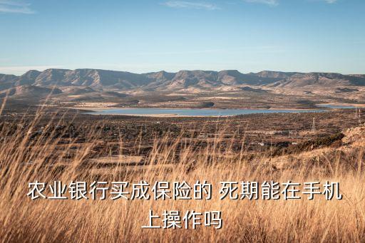  农业银行买成保险的 死期能在手机上操作吗