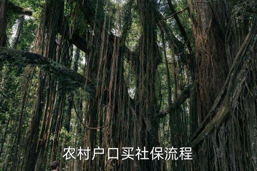 农村户口买社保流程