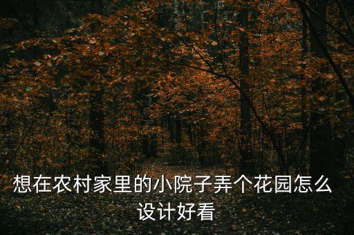 想在农村家里的小院子弄个花园怎么 设计好看