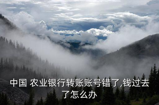 农业银行账单错误怎么处理