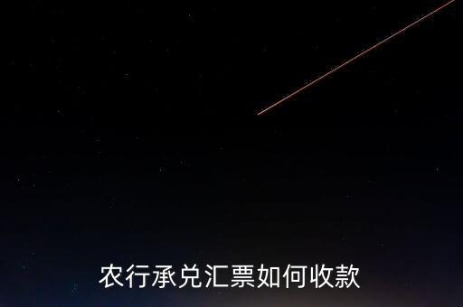 农业银行怎么样背书转让