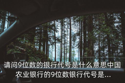 农业银行里的L代表什么