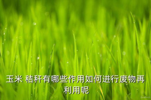 玉米 秸秆有哪些作用如何进行废物再 利用呢