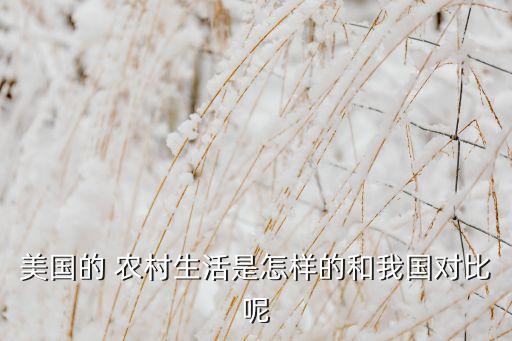 美国怎么看中国农业农村,怎么看中国农业银行卡是不是一类卡
