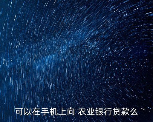 农业银行app怎么不能借钱