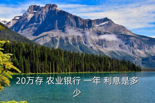 农业利息怎么计算一年,农业30万的定期一年的利息是多少