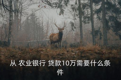 农业银行高额贷款怎么申请