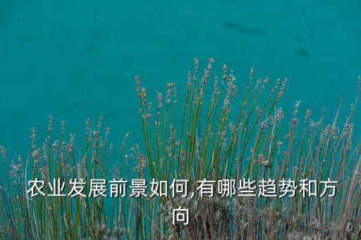现代农业怎么投资,中国西部现代农业投资集团