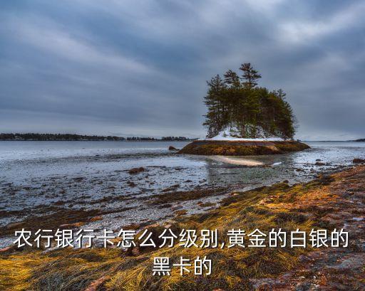 农业银行砖石卡照片怎么换