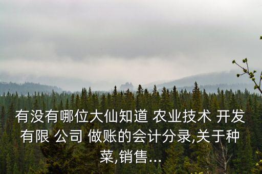 农业开发公司工资怎么做账