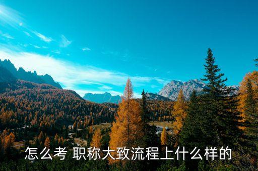 怎么考 职称大致流程上什么样的