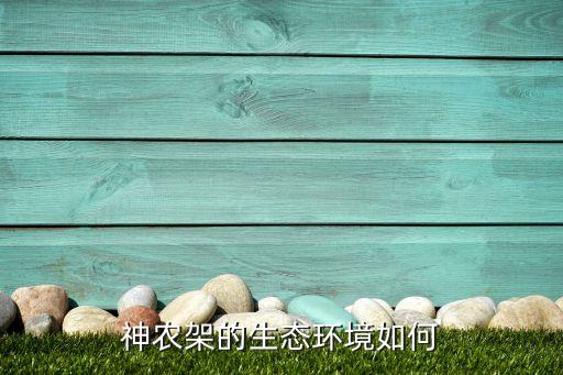 木鱼镇农业所怎么样