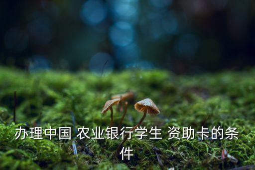 农业银行资助卡怎么取
