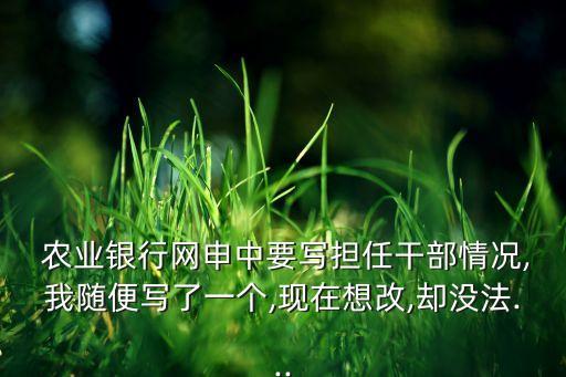  农业银行网申中要写担任干部情况,我随便写了一个,现在想改,却没法...