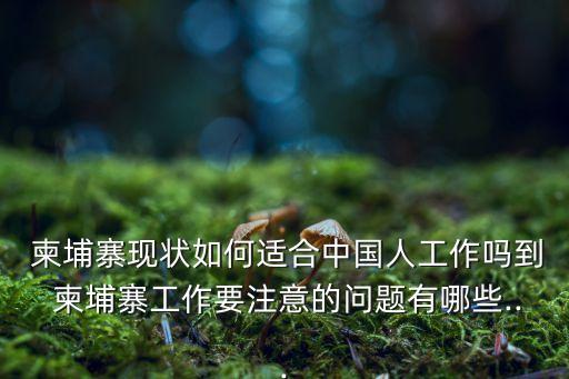 到柬埔寨做农业怎么样,想在柬埔寨做贸易怎么样