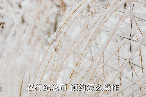 农行纪念币 预约怎么操作