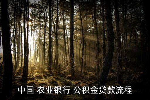 农业银行的公积金怎么用