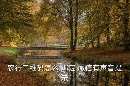 浙江农业银行怎么绑定微信,农业银行信用卡绑定微信使用不了