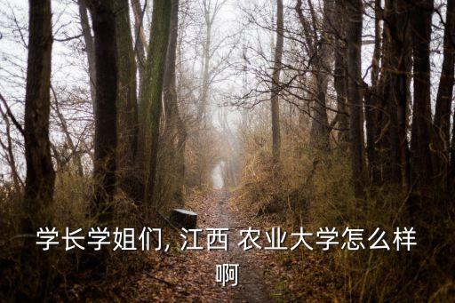 江西农业大学怎么洗澡,去江西农业大学怎么走