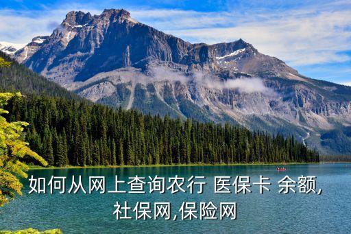 农业银行怎么查医保余额,医保农业银行卡里的钱怎么查