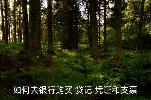 农业银行贷记凭证怎么写