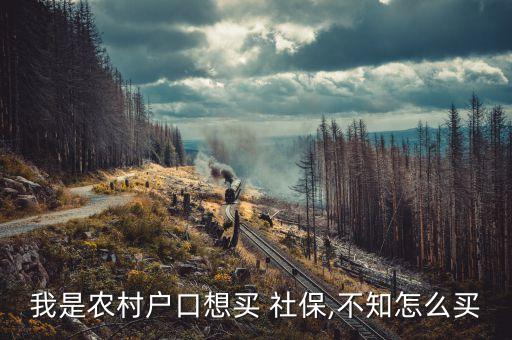 认养农业怎么买社保