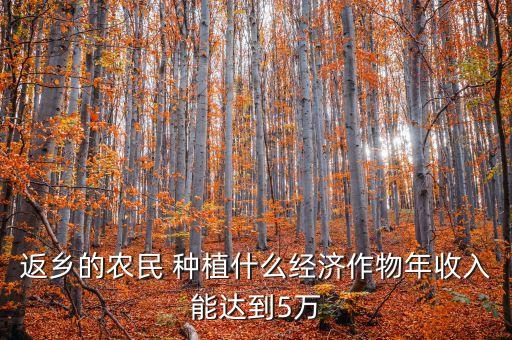 返乡的农民 种植什么经济作物年收入能达到5万