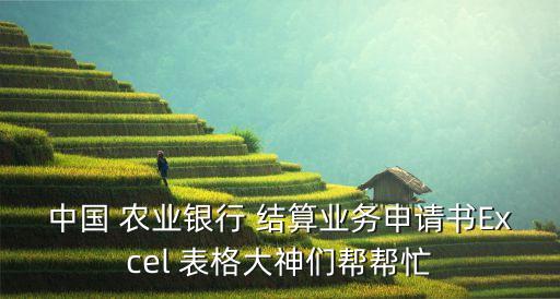 中国 农业银行 结算业务申请书Excel 表格大神们帮帮忙