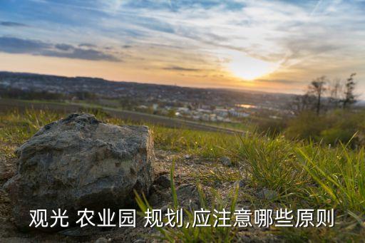 农业园区规划设计怎么收费,休闲农业园区规划设计形考作业一