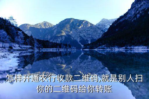 怎么申请农业银行扫码付,农业银行收款码申请