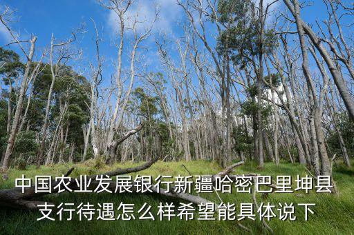 县域农业银行支行怎么样,农业银行待遇县域