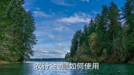 农行金e顺如何使用