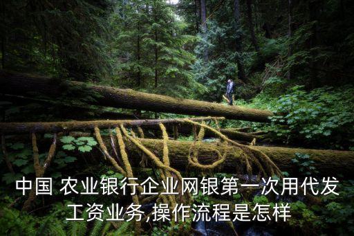 中国 农业银行企业网银第一次用代发 工资业务,操作流程是怎样