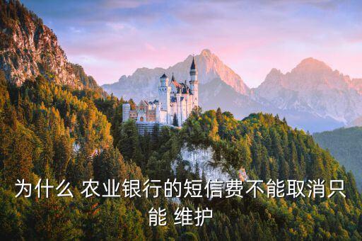 怎么查看农业维护信息,农业银行卡怎么维护
