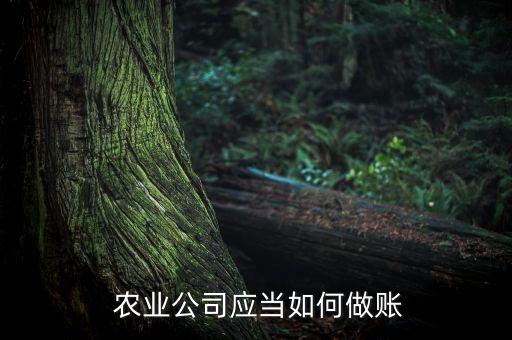 农业种子研发费用怎么记账