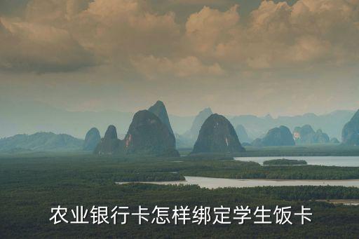 农业银行app怎么交饭卡